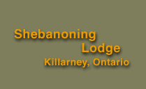 Shebanoning Lodge, Killarney Ontario