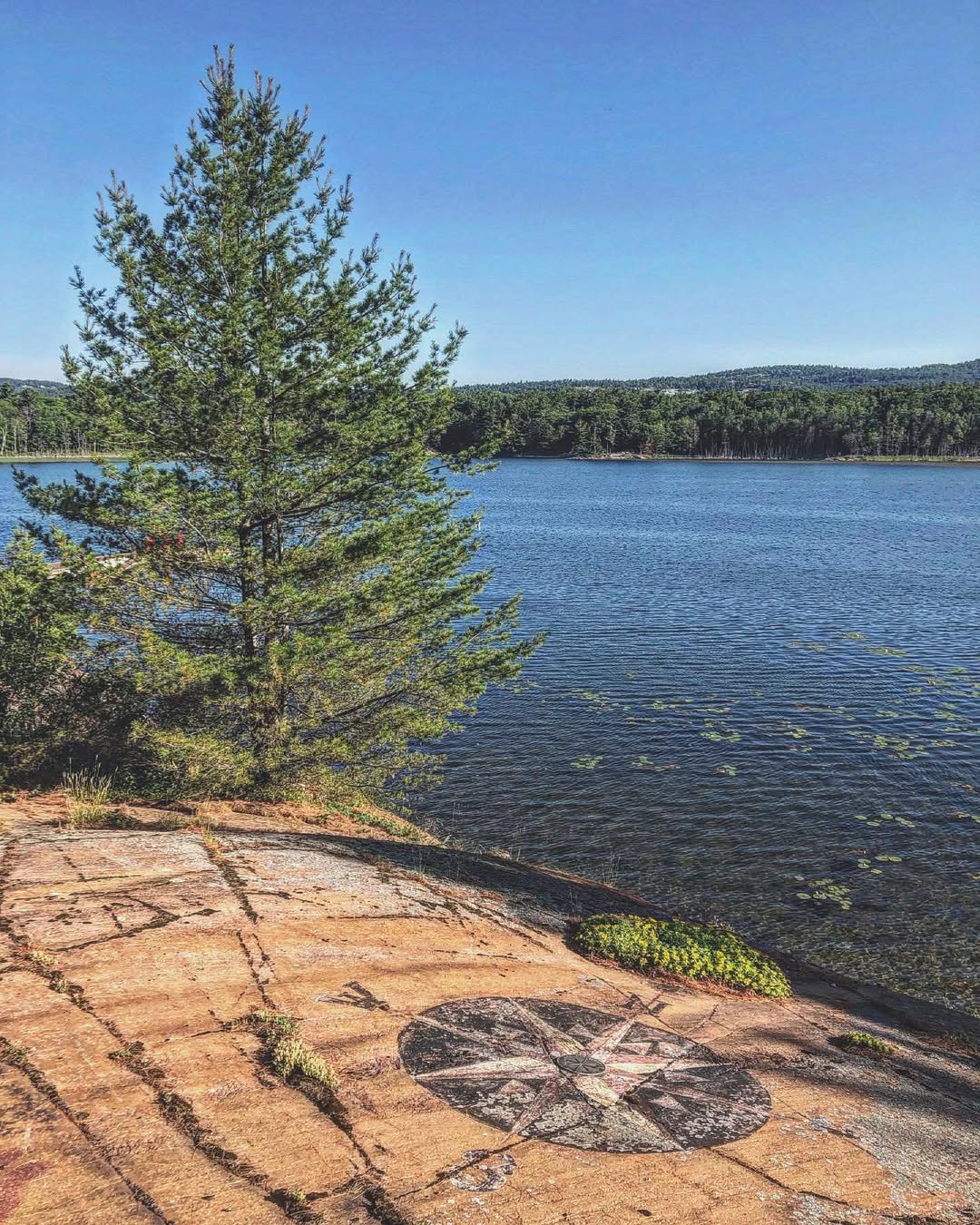Compass rose carved in pink granite with pine tree and Georgian Bay stretching toward quartzite ridges